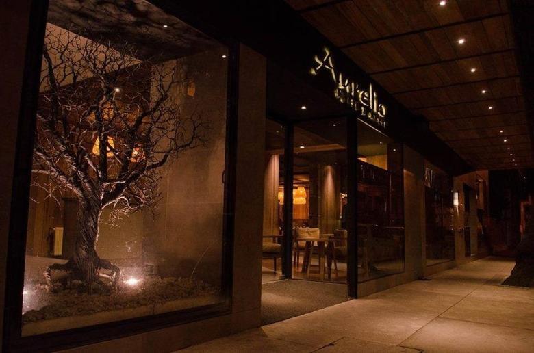 Aurelio Hotel & Apart Concepción Εξωτερικό φωτογραφία